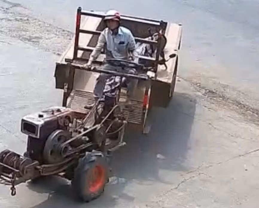z7690554145268_9f8fc1e2d25ae16a821cd3c10a8704fc.jpg