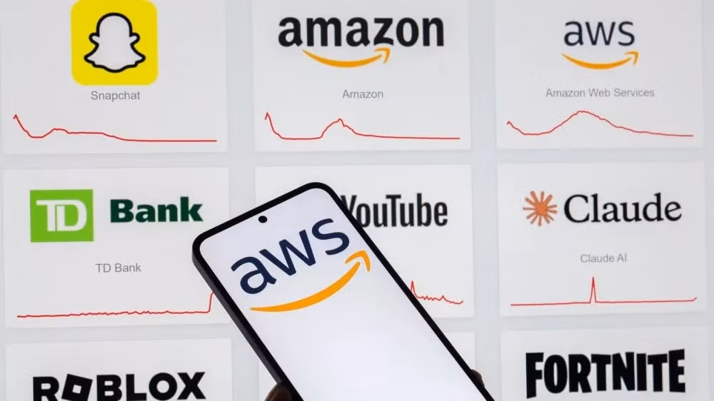 amazon.jpg