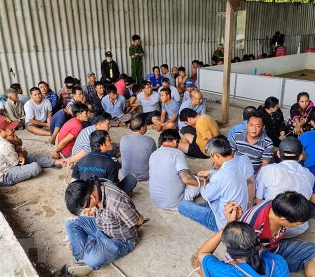Các con bạc trong một vụ án đánh bạc bị lực lượng công an bắt giữ. Ảnh: vietnamplus.vn