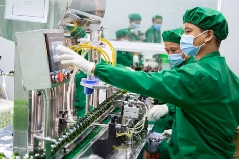 MQ Skin được sản xuất tại nhà máy chuẩn CGMP với hệ thống thiết bị hiện đại, nguyên liệu nhập khẩu, công nghệ theo tiêu chuẩn Hàn Quốc.