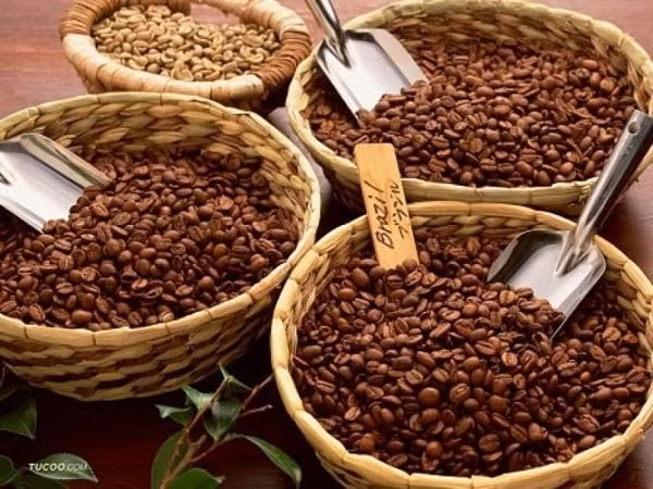 Sản lượng cà phê robusta của Brazil sẽ ít bị ảnh hưởng trong năm 2021