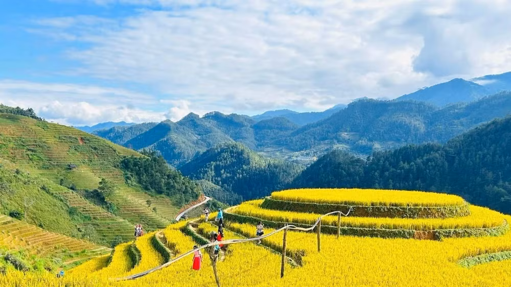 mu-cang-chai.jpg