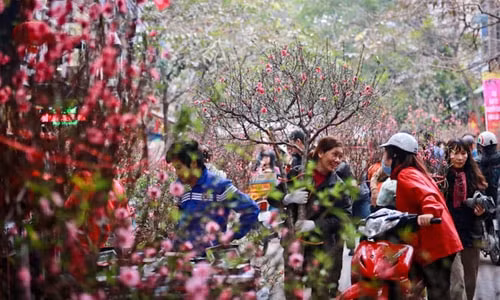 chi tiet 70 diem cho ban hoa tet at ty cua ha noi hinh 2
