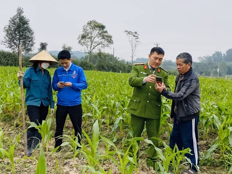 chuyen doi so dacham tung ngo den tung nha hinh 1
