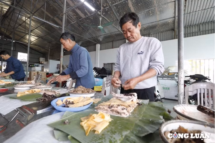 gio nay len mam co tet tai thai binh hinh 1