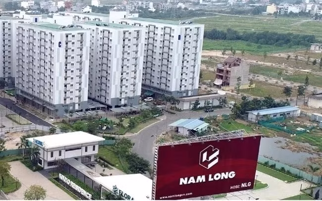 dau tu nam long nlg loi nhuan giam 82 du dinh ban co phieu cho co dong de huy dong them von hinh 1
