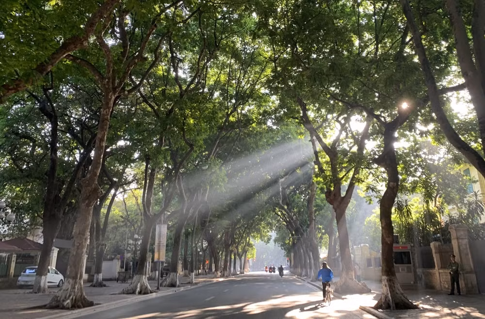 du bao thoi tiet ngay 5 1 bac bo nang hanh nam bo mua rao hinh 1