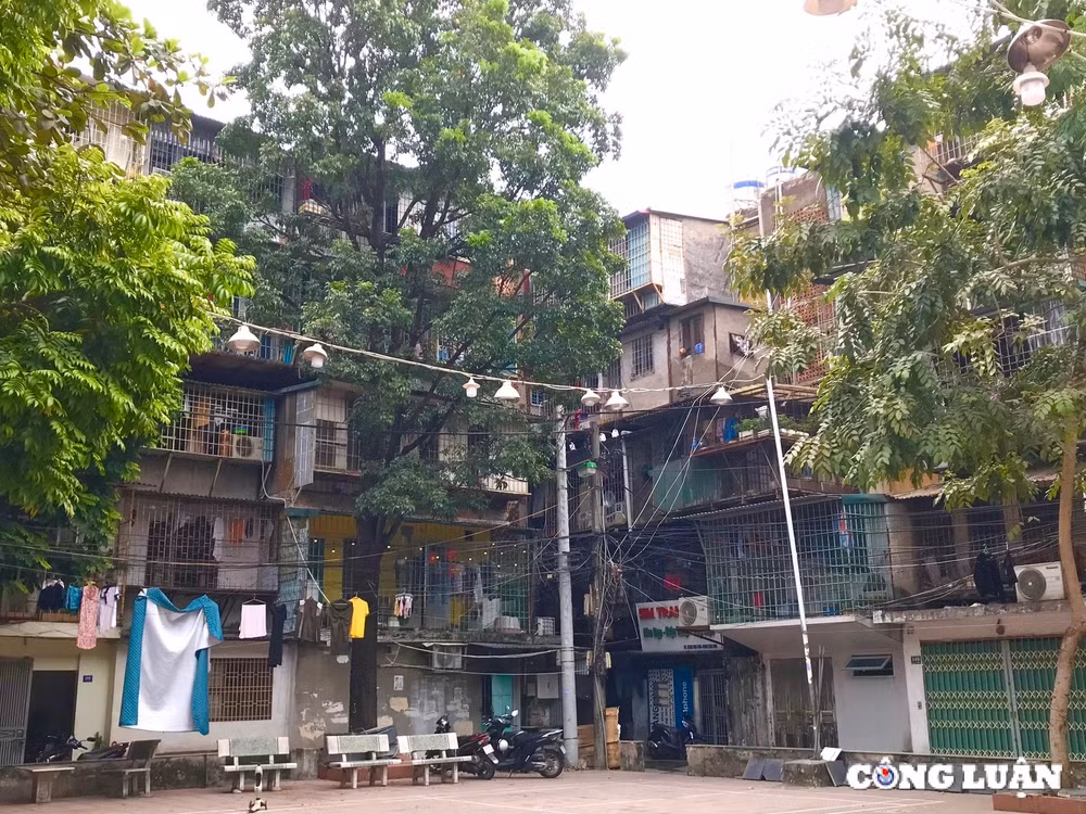 ha noi doc thuc quan hai ba trung day nhanh cai tao chung cu cu hinh 1