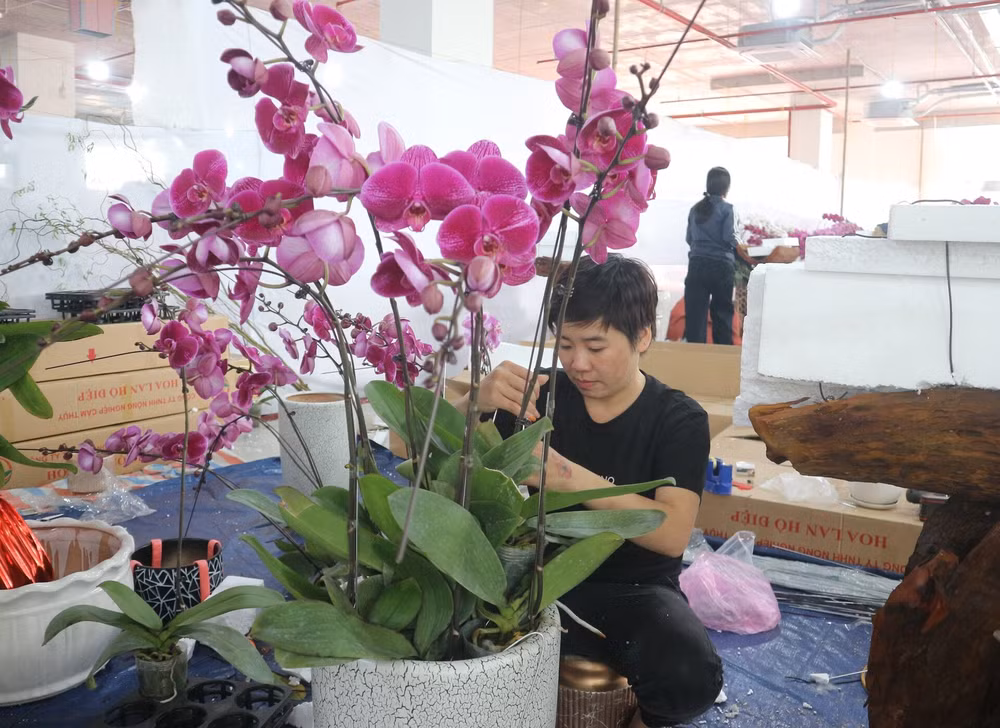 tho cam hoa lan dip tet nghe hai ra tien moi nam chi co mot lan hinh 2
