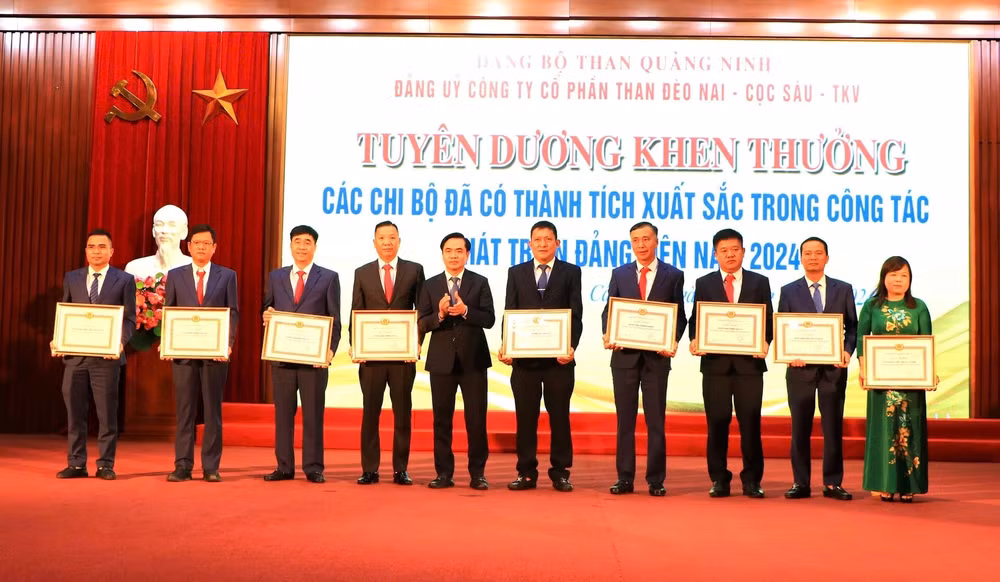 cong ty cp than deo nai coc sau buoc dau hoat dong hieu qua tren mo hinh moi hinh 3
