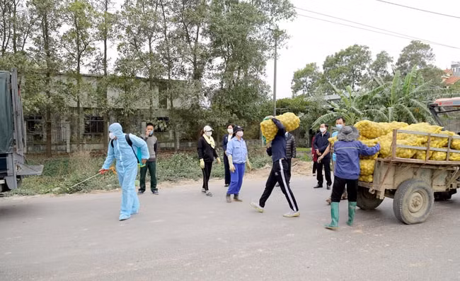 Bộ GTVT chỉ đạo các đơn vị trong ngành có các giải pháp kịp thời, tạo thuận lợi cho lưu thông hàng hóa tại các địa phương có dịch COVID-19. Ảnh minh họa