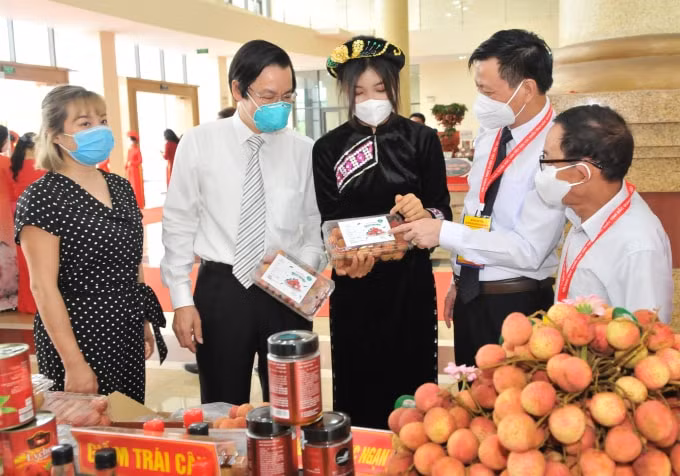 Vải thiều Bắc Giang được bảo hộ nhãn hiệu tại 8 quốc gia.