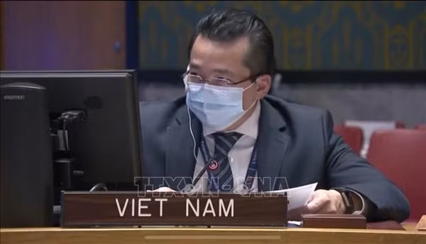 Đại sứ Phạm Hải Anh - Phó Trưởng phái đoàn đại diện thường trực Việt Nam tại LHQ. Ảnh: TTXVN