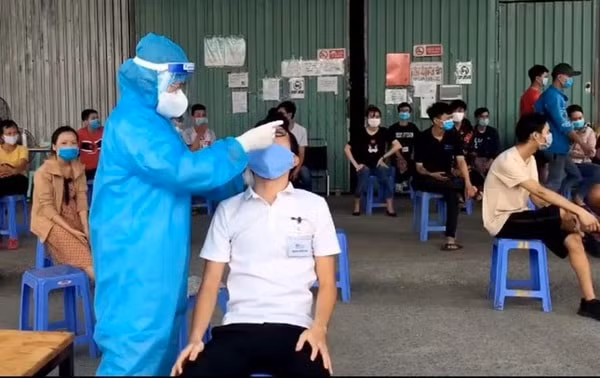 Ngành Y tế đang đẩy nhanh tiến độ lấy mẫu xét nghiệm tầm soát diện rộng cho người dân quận Gò Vấp, TP Hồ Chí Minh
