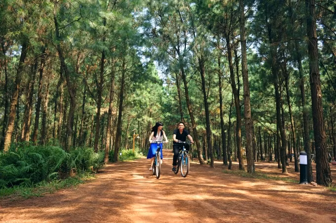 Flamingo Đại Lải Resort (2)