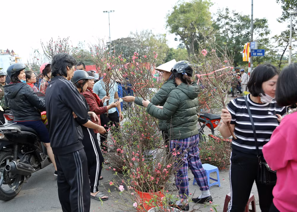 Một số hình ảnh tại chợ hoa, vườn đào Nhật Tân.