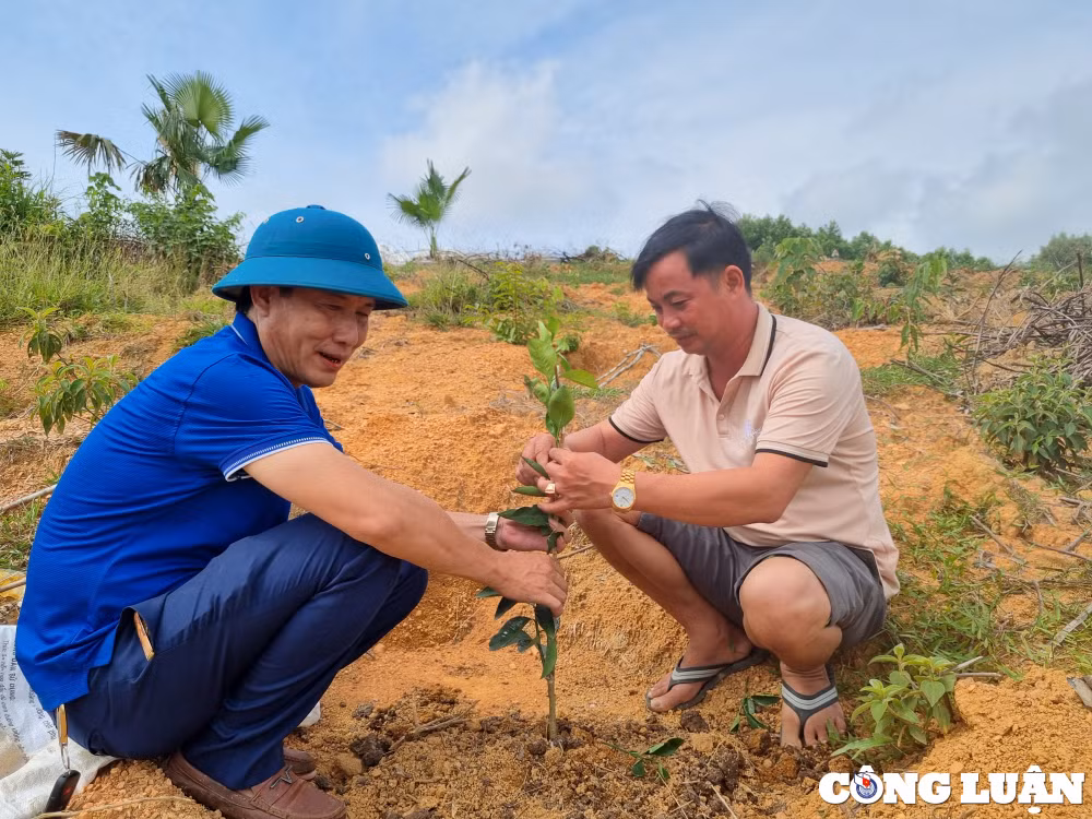 nguyen quoc quan nguoi dang vien duoc dan tin men hinh 3