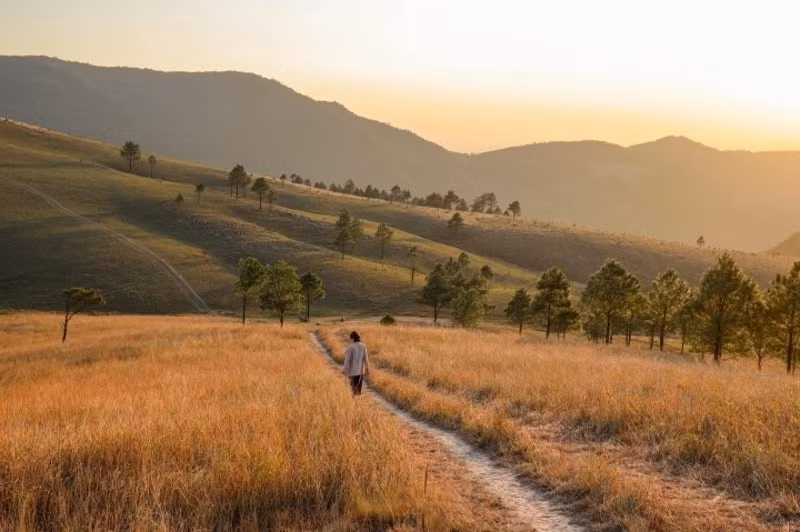 trai nghiem doi co chay o tinh quang ninh hinh 5