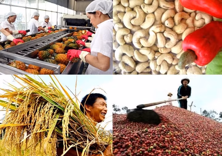 Nông sản được xuất khẩu tới 180 nước trên thế giới, trong đó có UAE (Ảnh minh họa)
