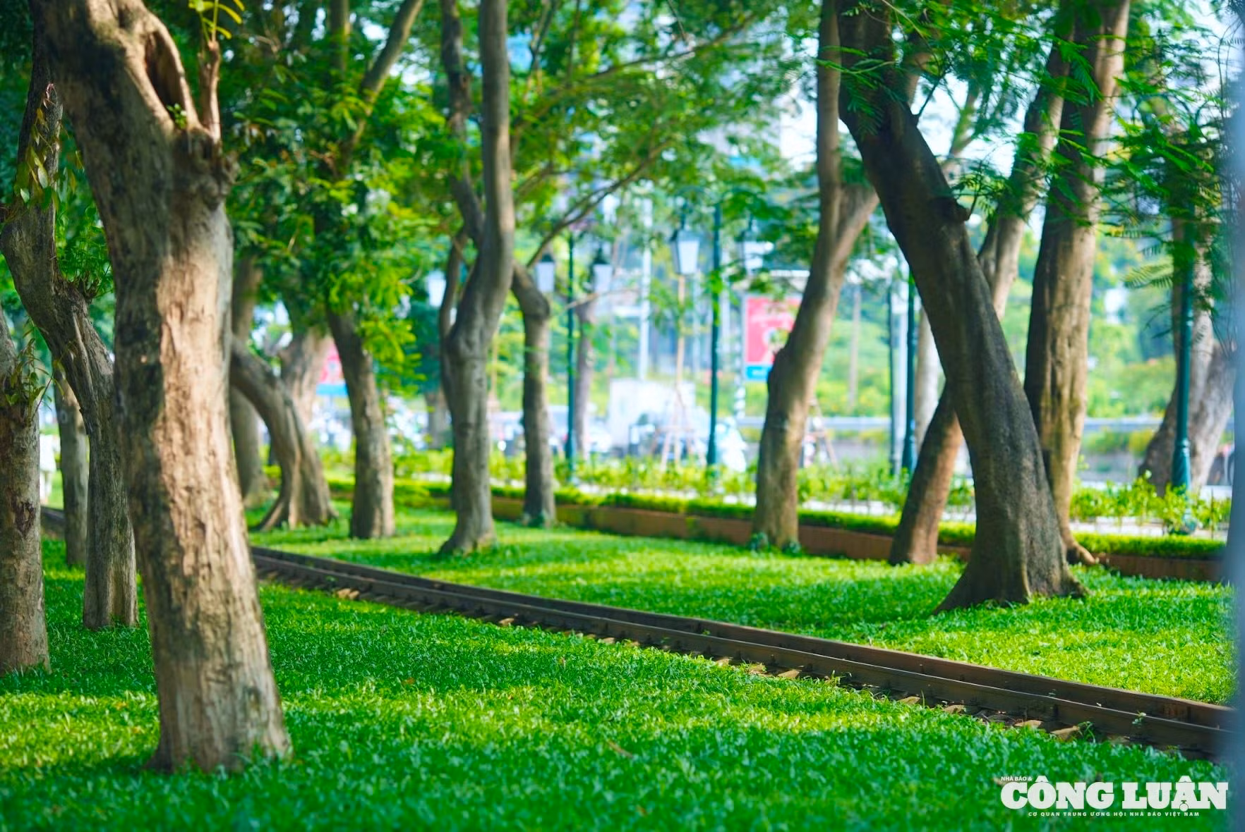 Ảnh màn hình 2025-07-07 lúc 09.10.24