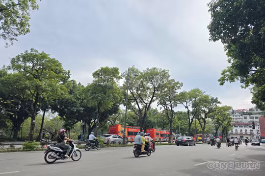 Hà Nội: Chi tiết các nhiệm vụ triển khai vùng phát thải thấp trong Vành đai 1