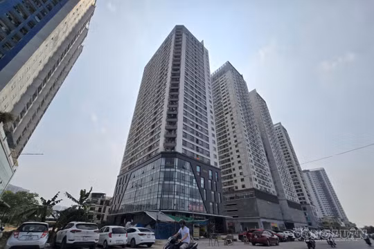Hà Nội điều tra nhu cầu nhà ở và nhà ở xã hội toàn thành phố