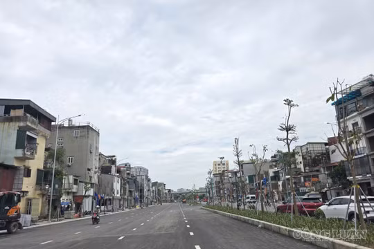 Mở rộng đường Ô Chợ Dừa lên 6 làn xe sau khi thông xe Vành đai 1