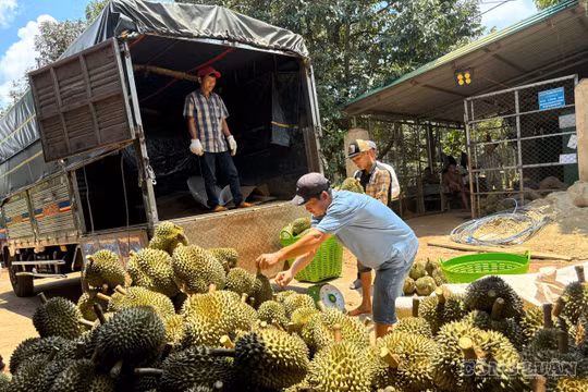 Nông dân gửi trọn kỳ vọng vào Đại hội IX: Chờ đợi các giải pháp đột phá, khơi thông nguồn lực làm giàu