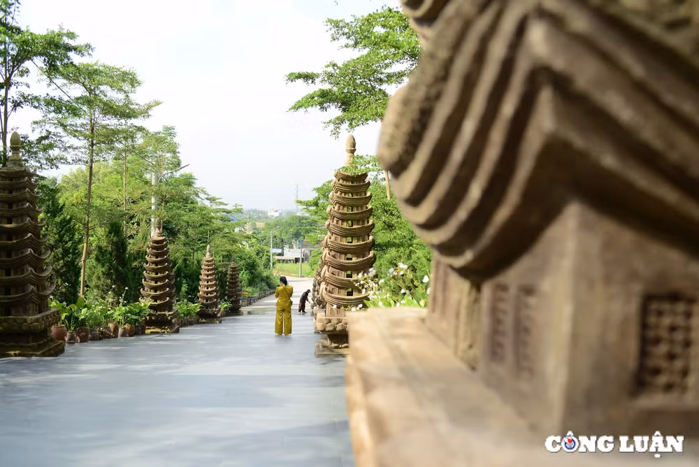 khong gian ngoi chua co co cay thi gan 400 nam tuoi o ha nam hinh 12
