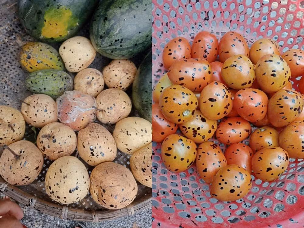 thanh hoa nguoi dan buc xuc vi bi phun nhua duong vao mat hinh 2