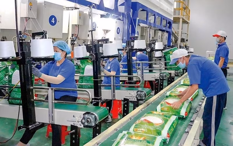 trung an tar tu lai hoa lo 75 ty dong sau kiem toan co phieu lao doc cung loat tin xau bua vay hinh 1