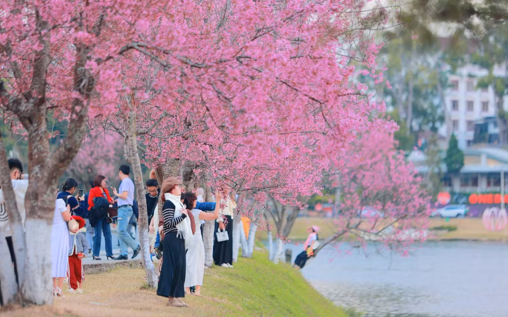 Ảnh màn hình 2026-02-12 lúc 06.56.08