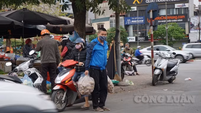 Một tiểu thương liên tục đi lấy khoai tây về bán lẻ tại chợ Ngã Tư Sở