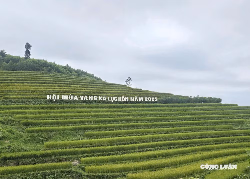 anh-1-le-hoi-mua-vang-luc-hon-2025.jpg