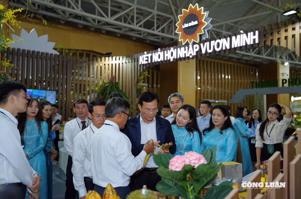 Ảnh màn hình 2025-10-27 lúc 23.46.00