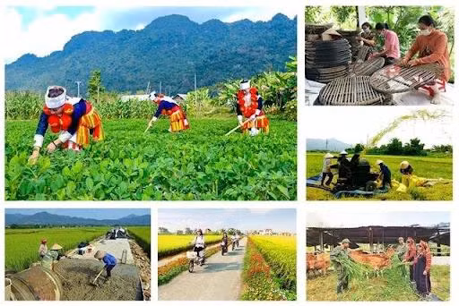 thai-nguyen1-17595419633891271951186.webp