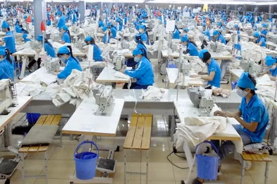 Gilimex (GIL) kiện Amazon 280 triệu USD, doanh thu quý 3 lao dốc, cổ phiếu bị bán tháo
