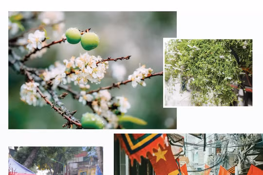 Thôi đừng nhớ... Tết!