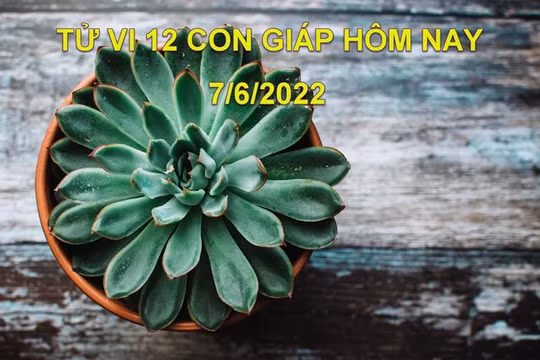 Tử vi 7/6/2022 hôm nay, thứ 3 ngày 9/5 âm lịch của 12 con giáp