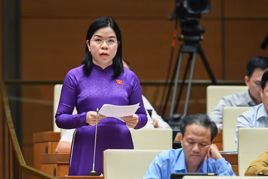 Đại biểu Quốc hội kiến nghị tăng mạnh các chế tài hình sự với hành vi xâm hại trẻ em