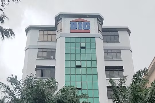 Con gái chủ tịch DIC Corp (DIG) đăng ký mua 20 triệu cổ phiếu nhưng chỉ mua được 23% do không đủ tiền
