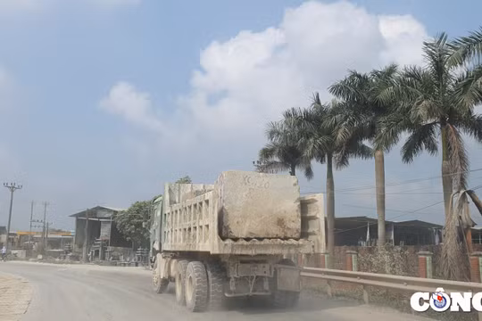 Thanh Hoá: Xe tải vi phạm tràn lan trên quốc lộ
