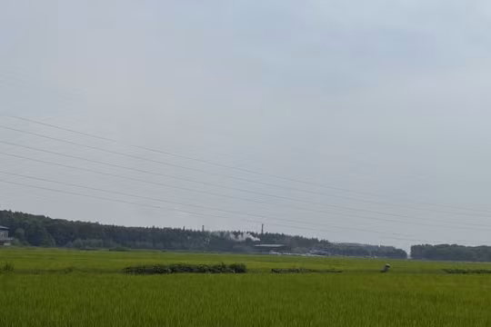 Cần những chính sách "đột phá" để phát triển kinh tế nông nghiệp