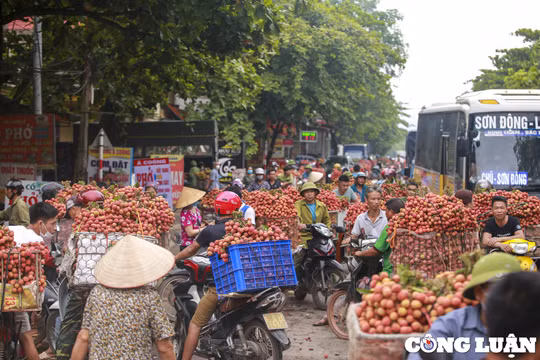 Lục Ngạn nhộn nhịp giao thương vải thiều chín sớm