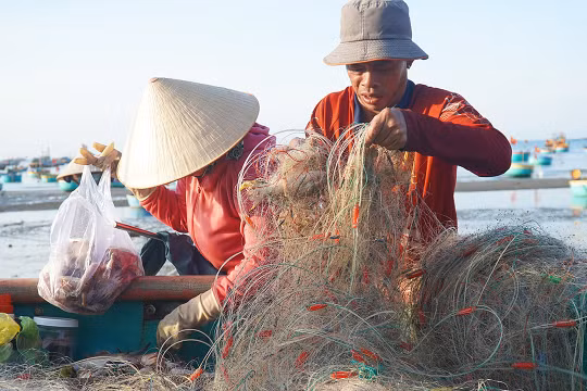 Chính phủ giao nghiên cứu kiến nghị hỗ trợ người dân bị ảnh hưởng của giá xăng dầu tăng cao