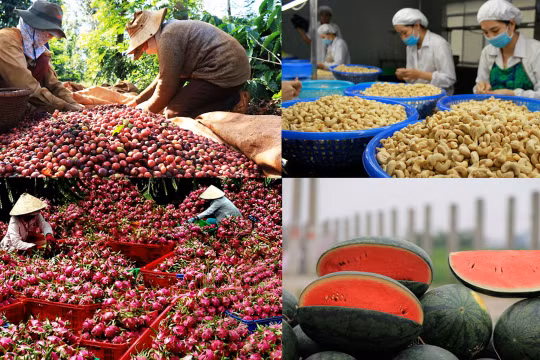 Hơn 1.600 mã nông sản, thực phẩm Việt Nam được xuất khẩu sang Trung Quốc