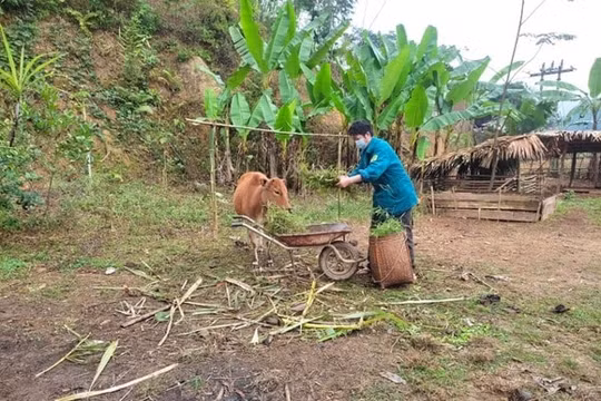 Hoà Bình giám sát Chương trình MTQG giảm nghèo bền vững