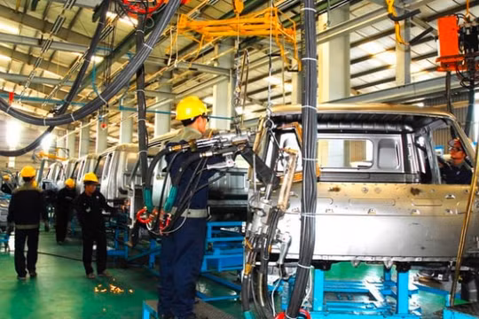 TS Nguyễn Đức Kiên: “Sống chết cũng phải mở cửa đất nước”
