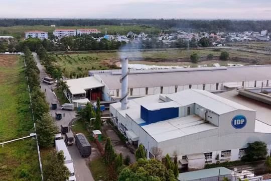 CTCP Sữa Quốc tế (IDP) kinh doanh khó khăn, vừa lấn sân BĐS đã chốt tạm ứng cổ tức 15%