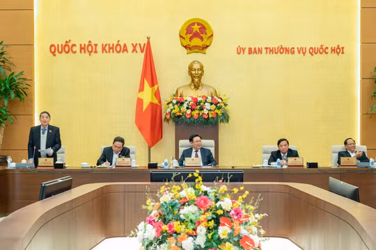 Tiếp tục giảm thuế bảo vệ môi trường đối với xăng, dầu, mỡ nhờn trong năm 2023